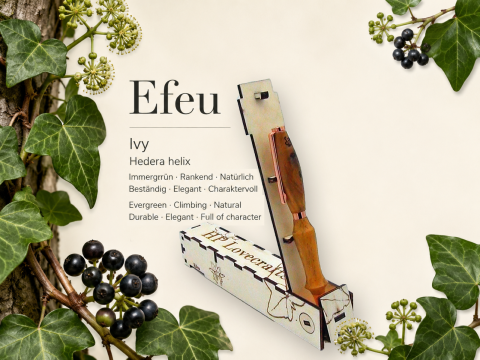 Efeukugelschreiber, inkl. Magic Pen Box
